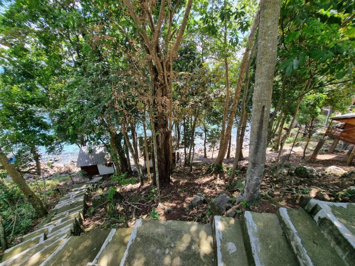 Treetop Guesthouse And Bungalows Sabang  Εξωτερικό φωτογραφία