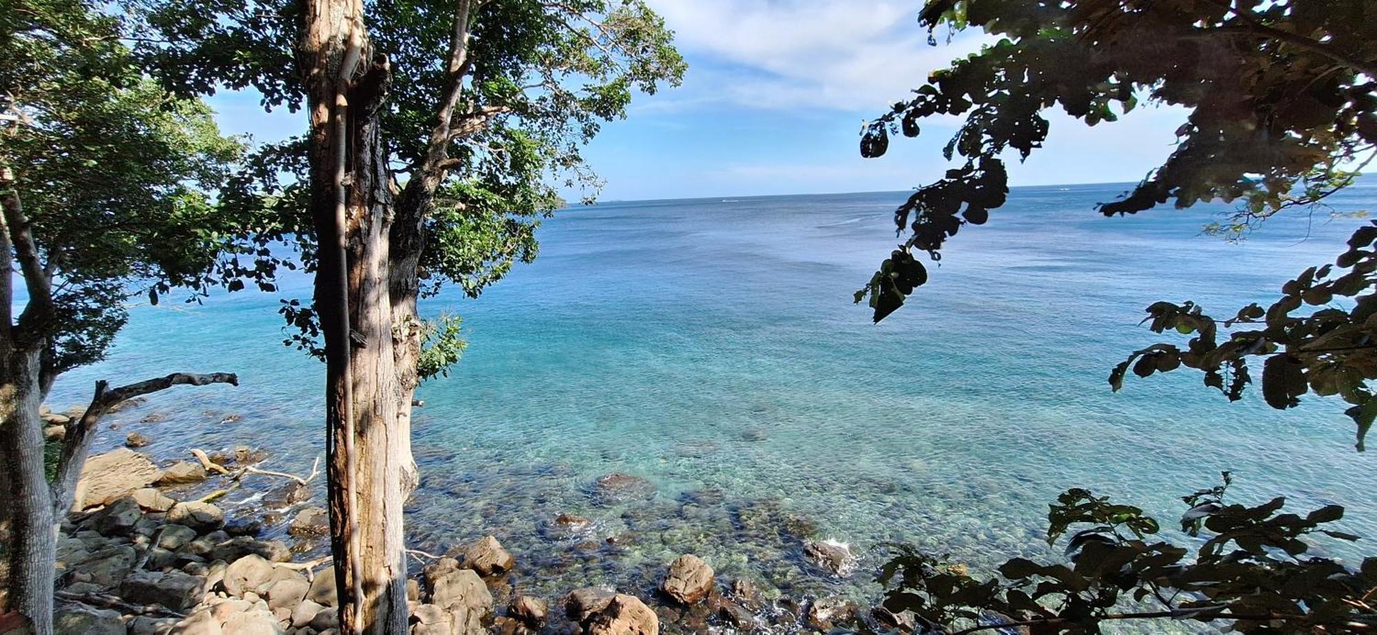Treetop Guesthouse And Bungalows Sabang  Εξωτερικό φωτογραφία