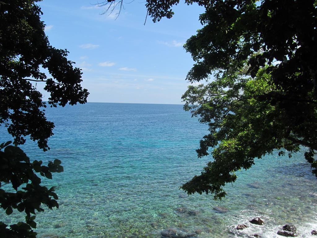 Treetop Guesthouse And Bungalows Sabang  Εξωτερικό φωτογραφία
